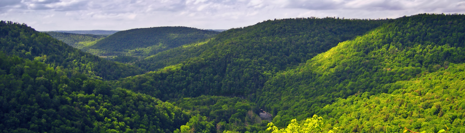 Appalachian Drilling Services: Worlds End State Park